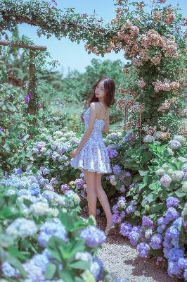 震惊！高级教师为何前往韩国？背后真相究竟如何！