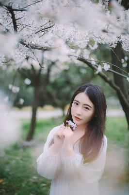 三年之约！免费观看高清动漫大全？B站资源合集大揭秘！